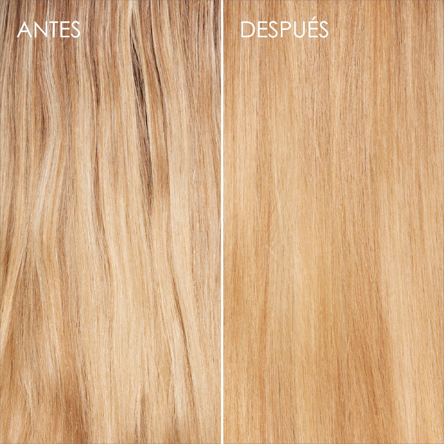 Nº.3 HAIR PERFECTOR x 100 ml - TRATAMIENTO PRE SHAMPOO