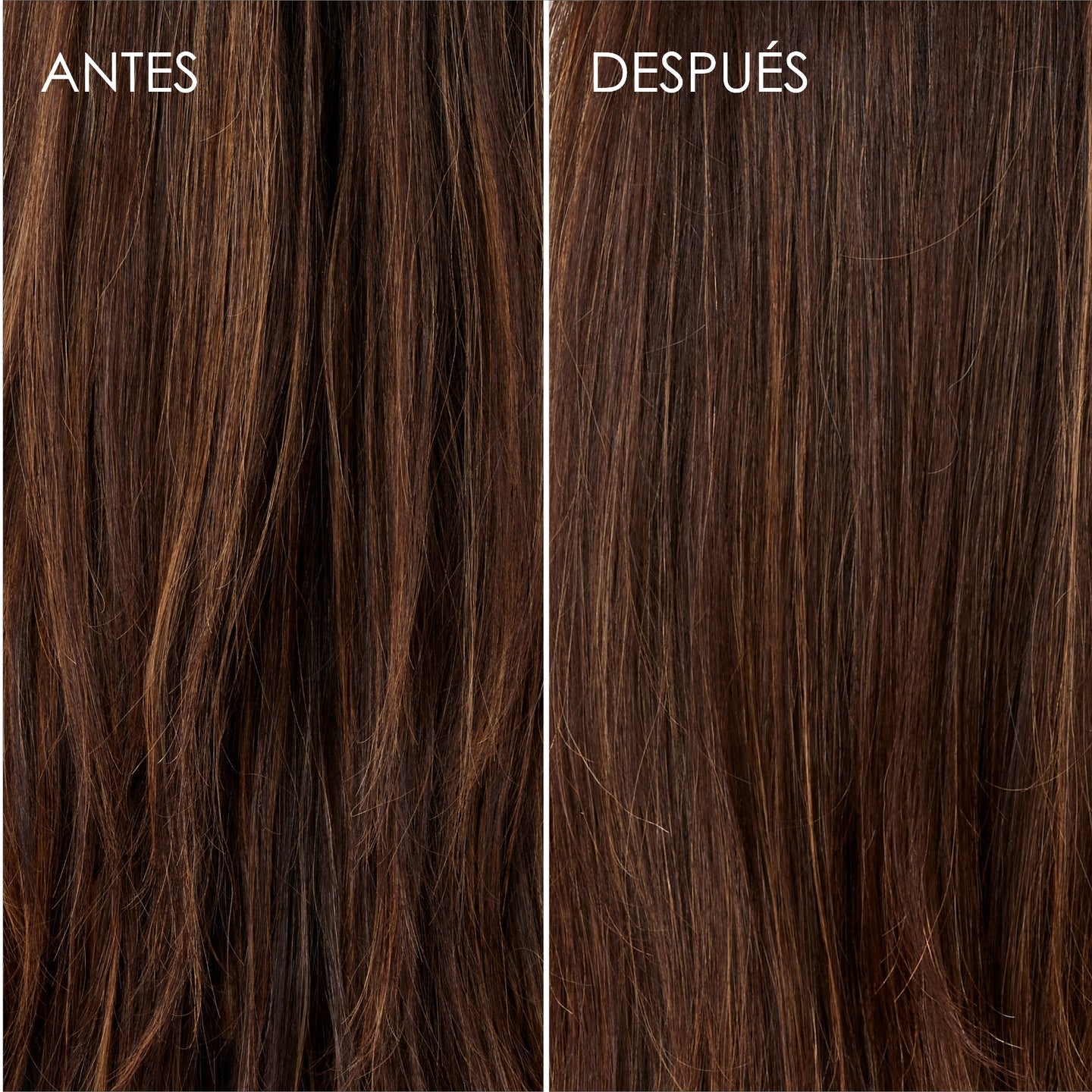 Nº.3 HAIR PERFECTOR x 100 ml - TRATAMIENTO PRE SHAMPOO