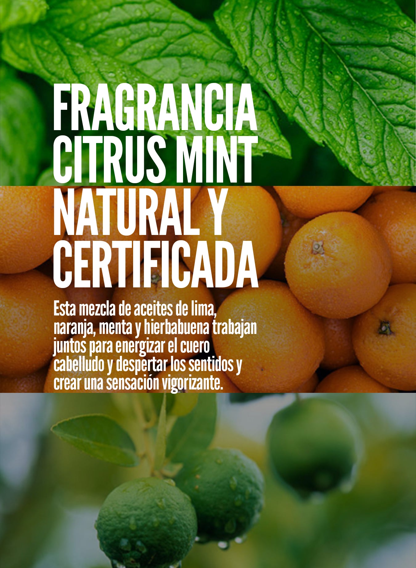 DETOX SHAMPOO x 250 ml - SHAMPOO DETOXIFICANTE Y EXFOLIANTE