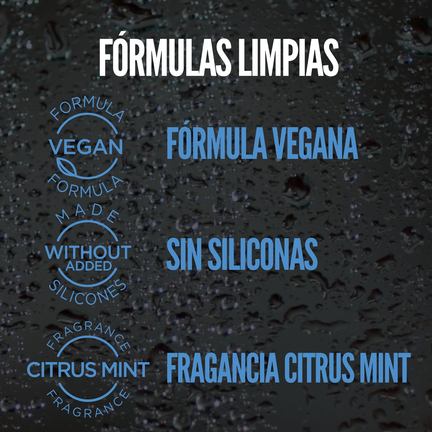 ANTIDANDRUFF & DRY SCALP SHAMPOO x 250 ml - SHAMPOO ANTICASPA